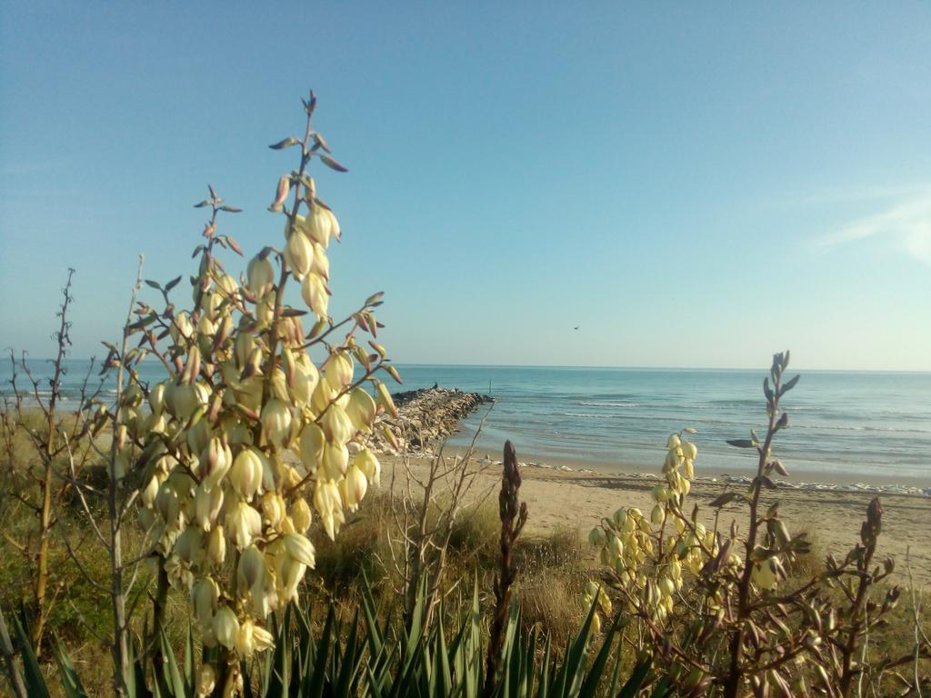 Villa Trifoglio Lido di Jesolo Bagian luar foto